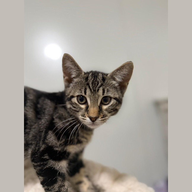 Photo of Boots