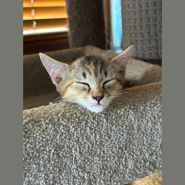 Photo of Donna
