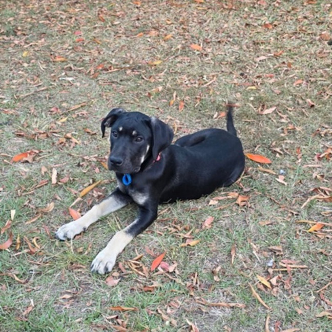Photo of Cleo
