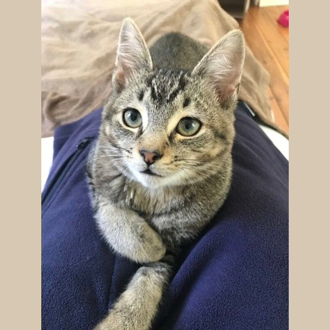 Photo of Billy And Oliver