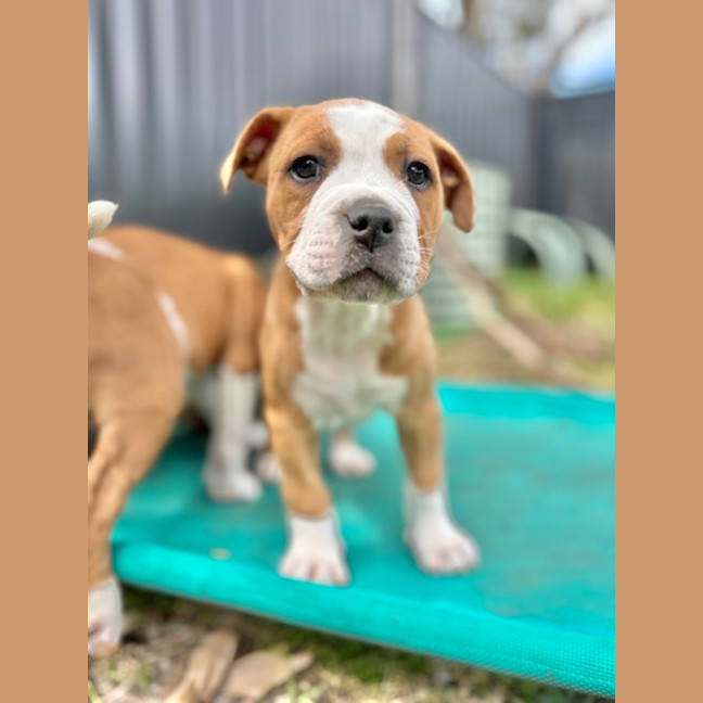 Photo of Swatch