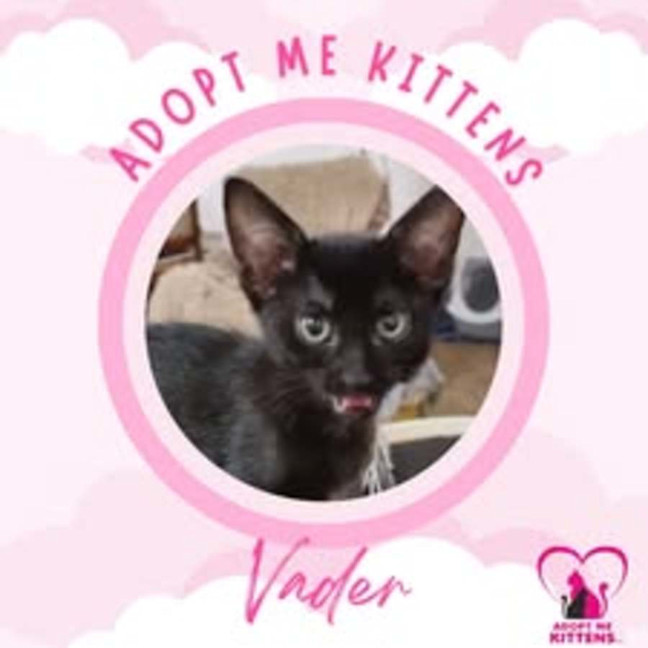 Photo of Vader