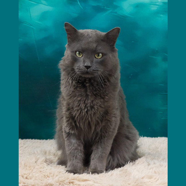 Photo of Franklyn