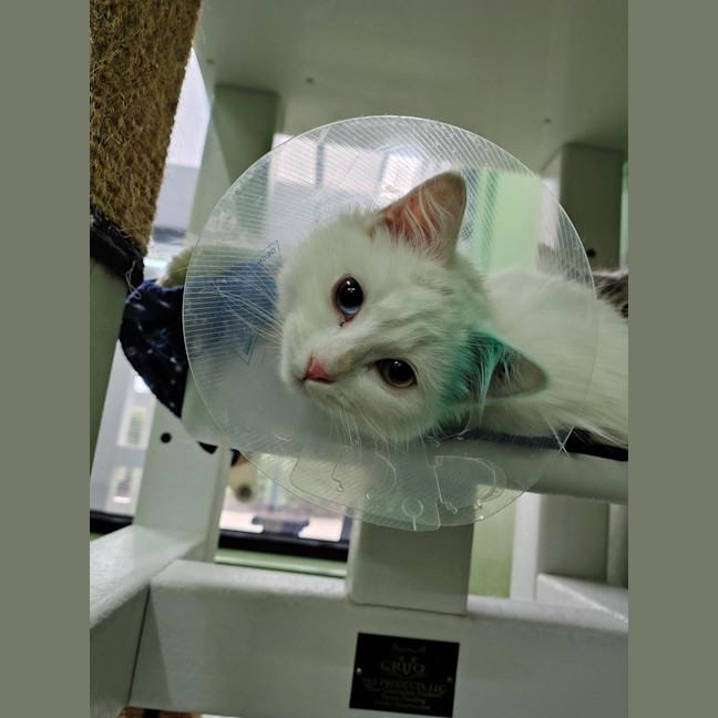 Photo of Bubbles