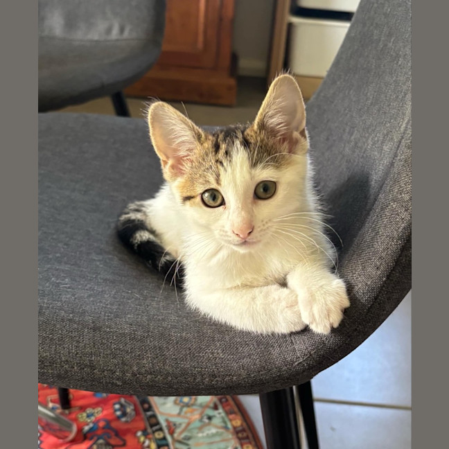 Photo of Lizzie 