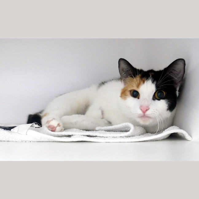 Photo of May Sta012978