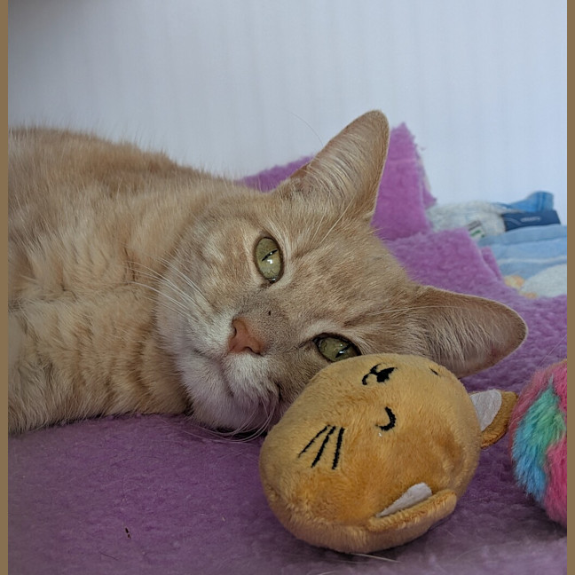 Photo of Georgie