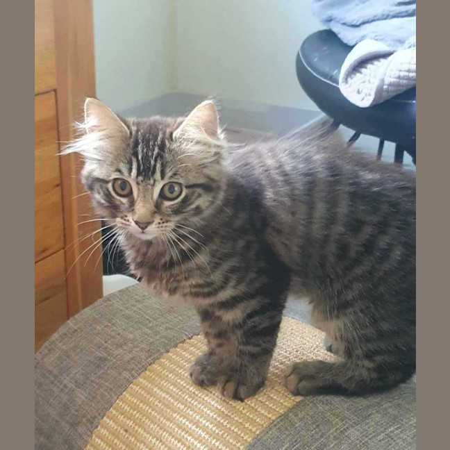 Photo of Memphis And Lucille