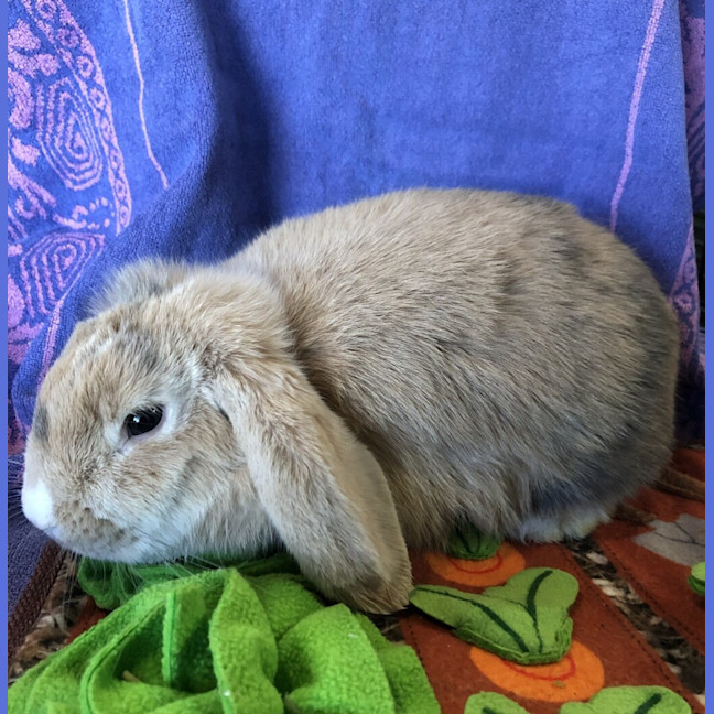 Photo of Mimi