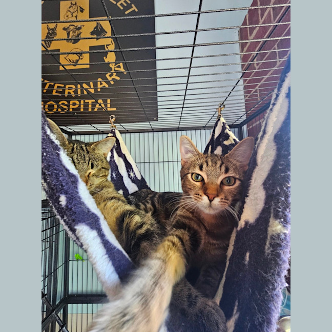 Photo of Thelma & Louise