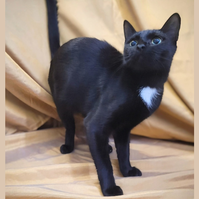 Photo of Kleo