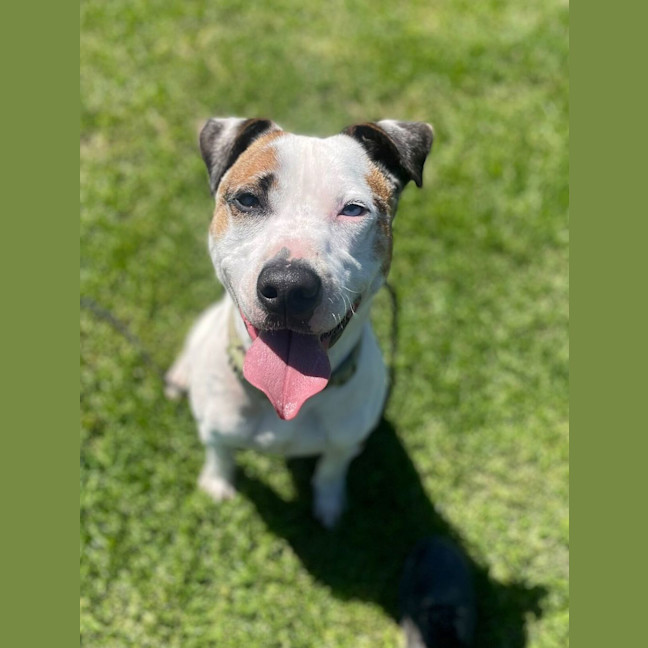 Photo of Biggie Small