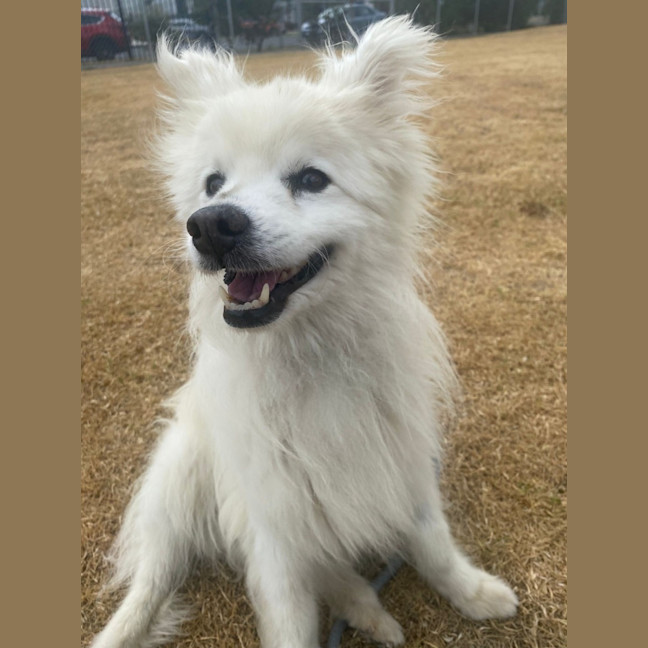 Photo of Coco