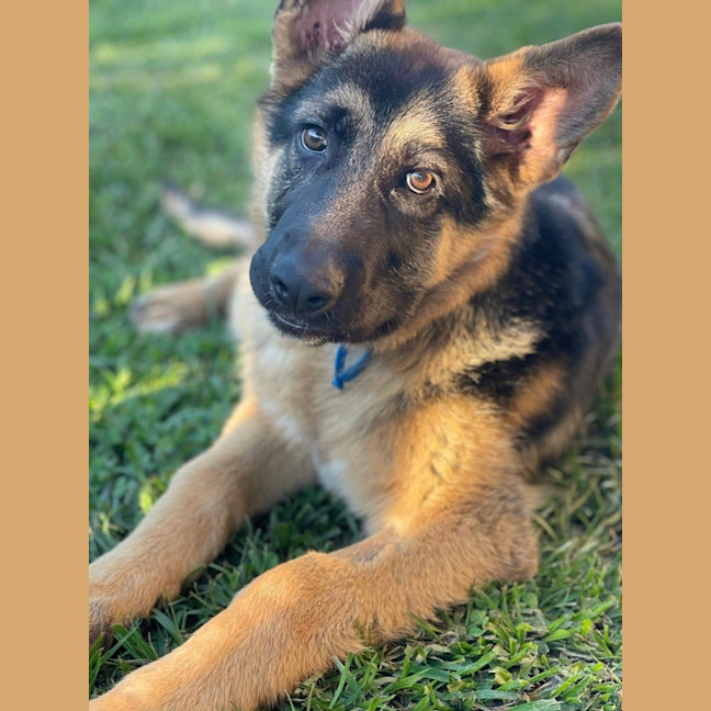 Photo of Gideon