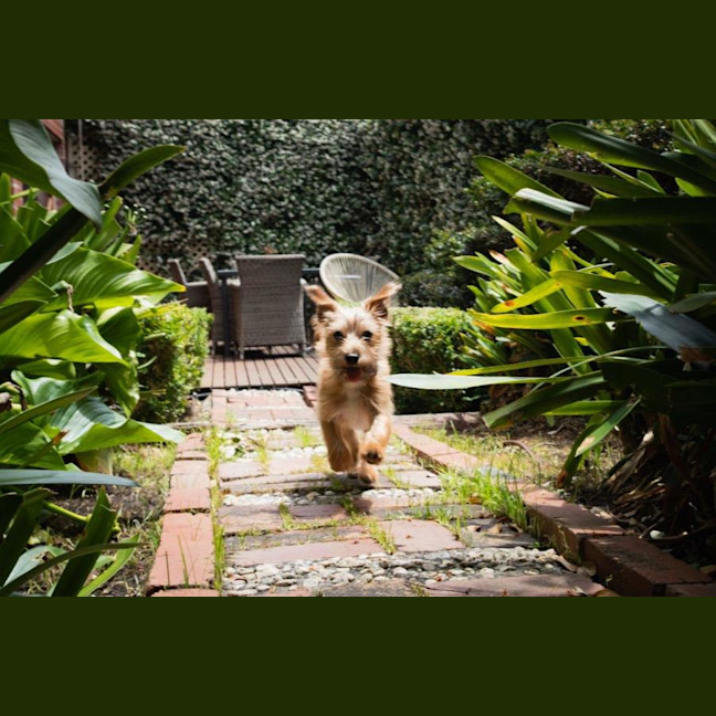 Photo of Albie Valenti