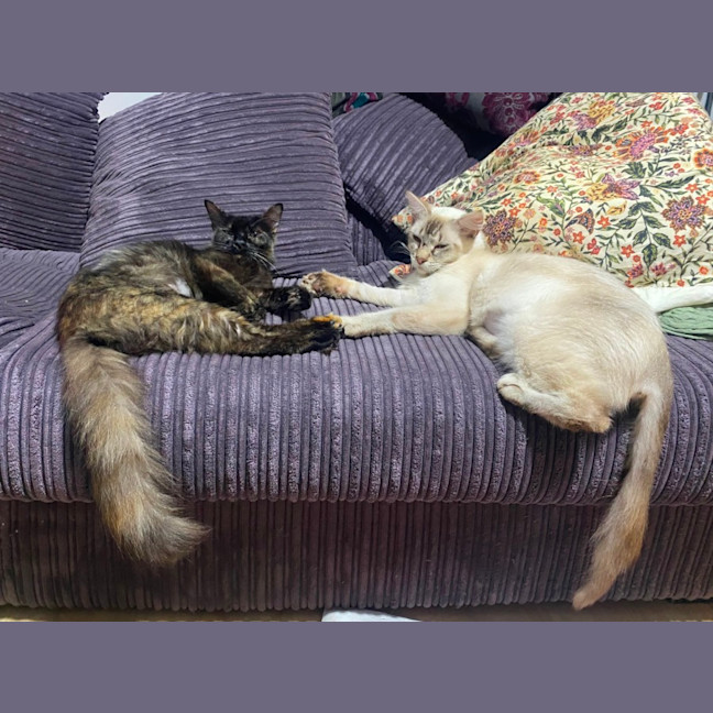 Photo of Heidi  🥰