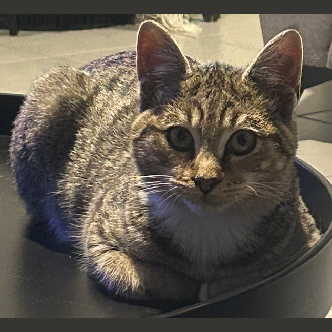Photo of Charles