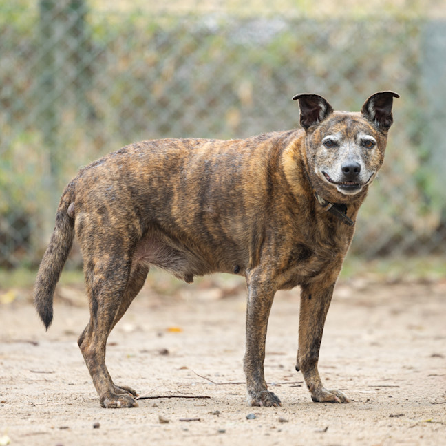 Photo of Max
