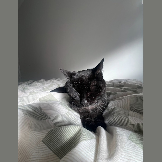 Photo of Gertrude