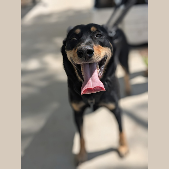 Photo of 🐻 Bear 6502 🐻