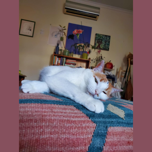 Photo of Hetty   Located In Coburg