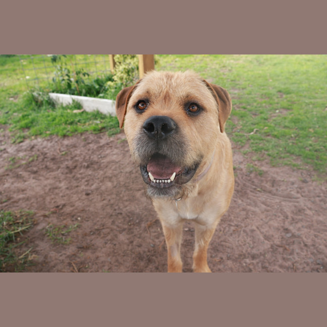 Photo of Apollo