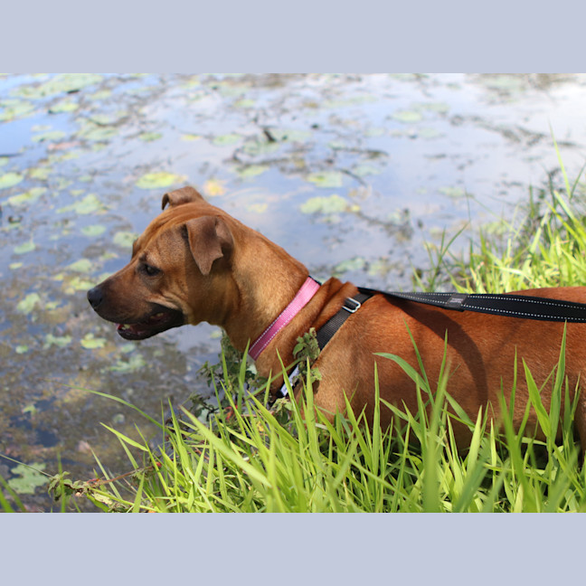 Photo of Lilly