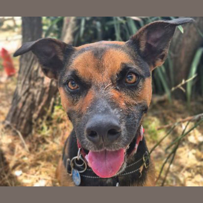 Photo of Cleo