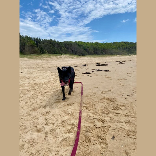 Photo of Freya