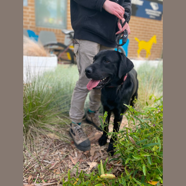 Photo of 🍕 Russell 5570🍕