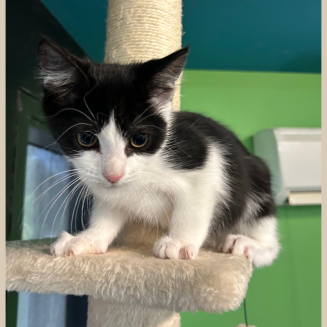 Photo of Beep 