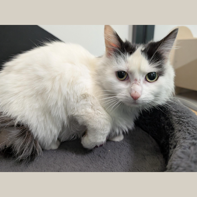 Photo of Sunday Market