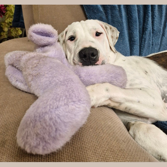Photo of Asher