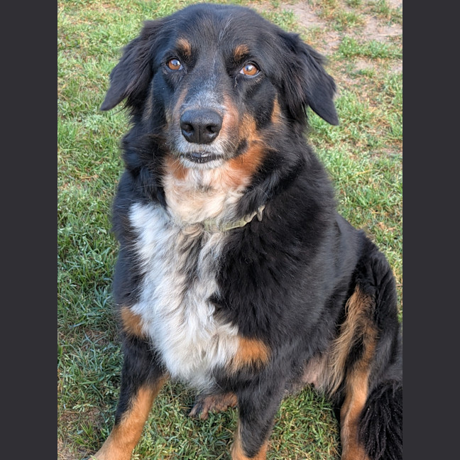 Photo of Oaklee