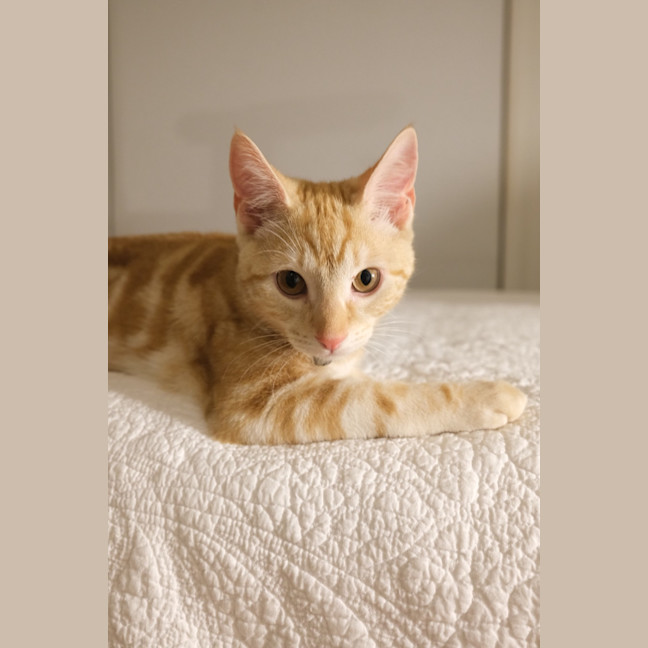 Photo of Winston