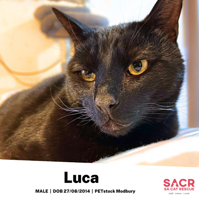 Photo of Luca
