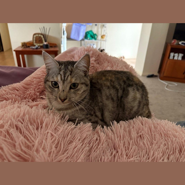 Photo of Arianna Quinnell