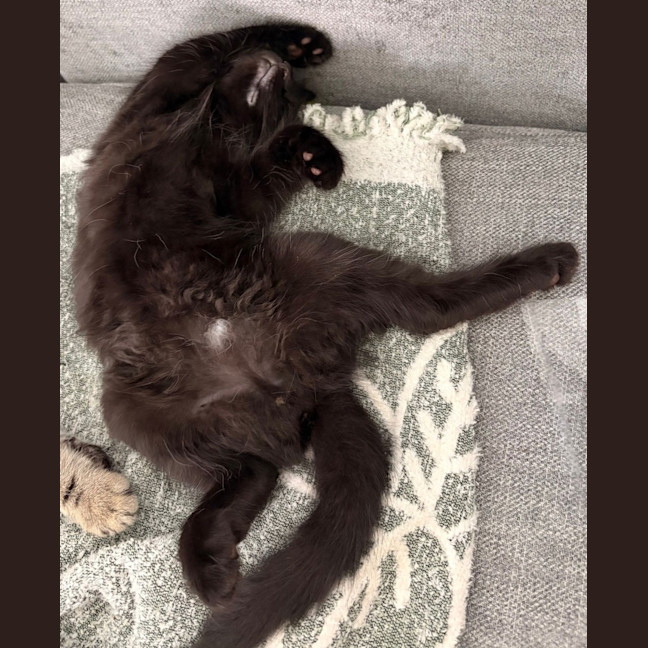Photo of Jiji