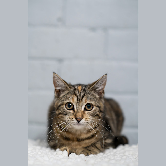 Photo of Jill
