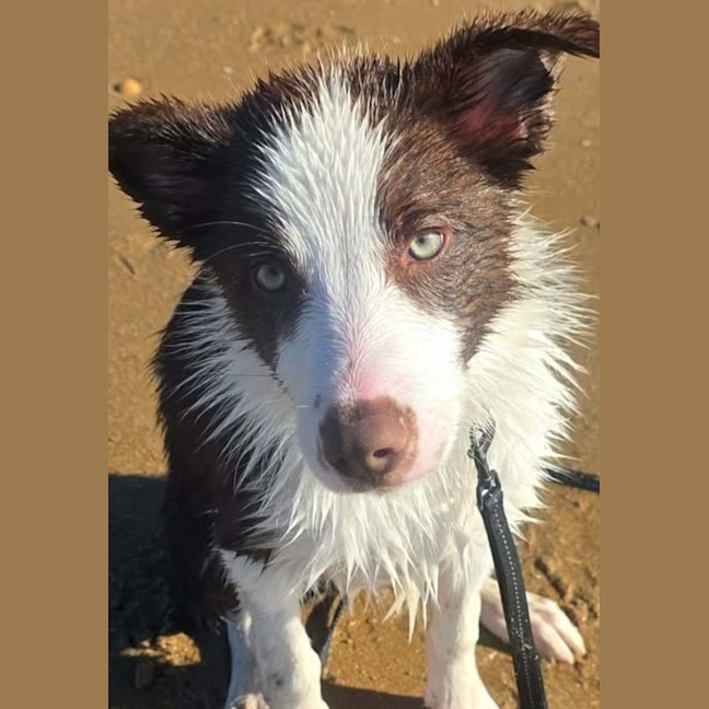 Photo of Jinx