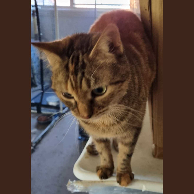 Photo of Milly
