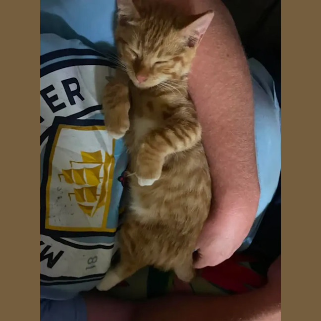Photo of Garfield