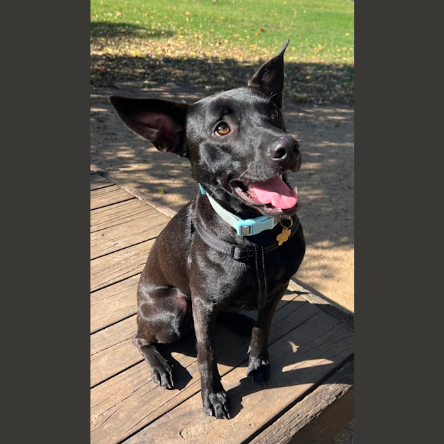Photo of Lenny