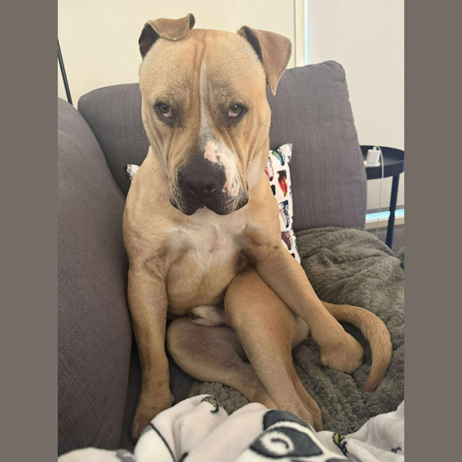 Photo of Butch
