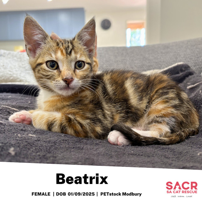 Photo of Beatrix