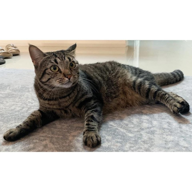 Photo of 9593   Willow