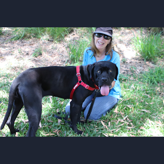 Photo of Calypso