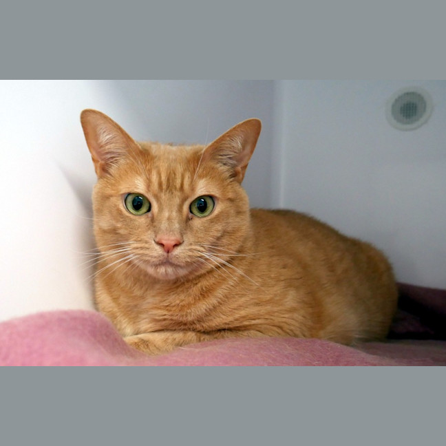 Photo of George Sua013134