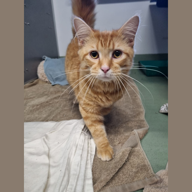 Photo of Butterball