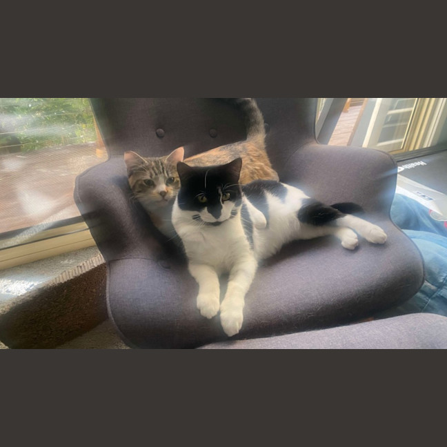 Photo of Elsie & Bee 